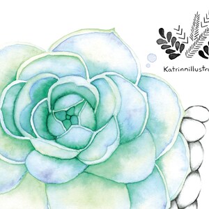 Watercolor illustration succulent plant / Poster Boho macramé plant / Art and Botanical collection / Drawing by Katrinn Pelletier image 10