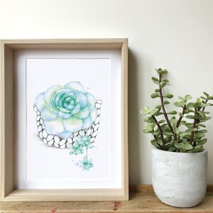 Watercolor illustration succulent plant / Poster Boho macramé plant / Art and Botanical collection / Drawing by Katrinn Pelletier image 2