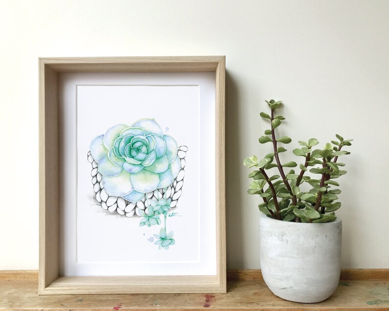 Watercolor illustration succulent plant / Poster Boho macramé plant / Art and Botanical collection / Drawing by Katrinn Pelletier image 2