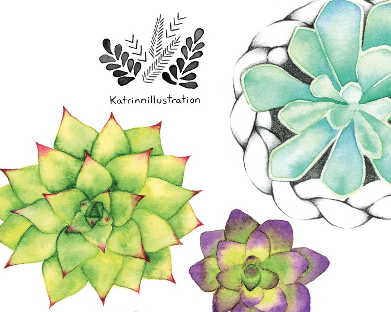 Carte de voeux minis plantes succulentes / Carte de souhait dessin plante / Illustration plante et macramé / Aquarelle / Katrinn Pelletier zdjęcie 3