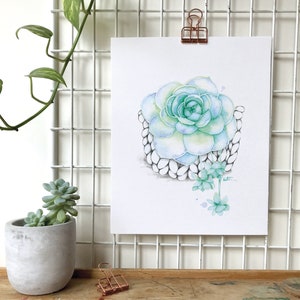 Watercolor illustration succulent plant / Poster Boho macramé plant / Art and Botanical collection / Drawing by Katrinn Pelletier image 1