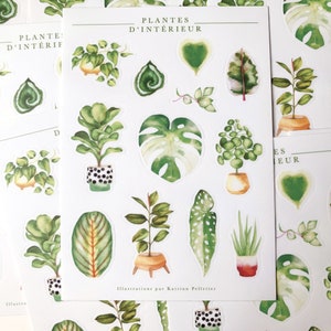 Sheet of illustrated vinyl stickers indoor plants, illustrated stickers, passion plant, green thumb, philodendron, Katrinn Pelletier image 5