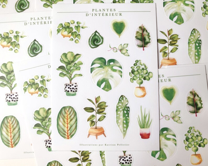 Sheet of illustrated vinyl stickers indoor plants, illustrated stickers, passion plant, green thumb, philodendron, Katrinn Pelletier image 5