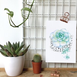 Watercolor illustration succulent plant / Poster Boho macramé plant / Art and Botanical collection / Drawing by Katrinn Pelletier image 5