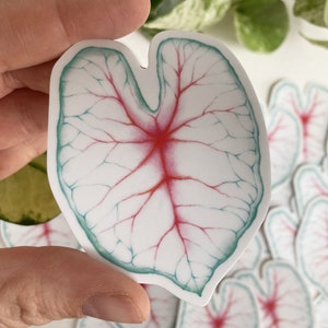 Autocollant vinyle feuille de Caladium, sticker botanique illustré, illustration plant lover, aquarelle pastel, Katrinn Pelletier