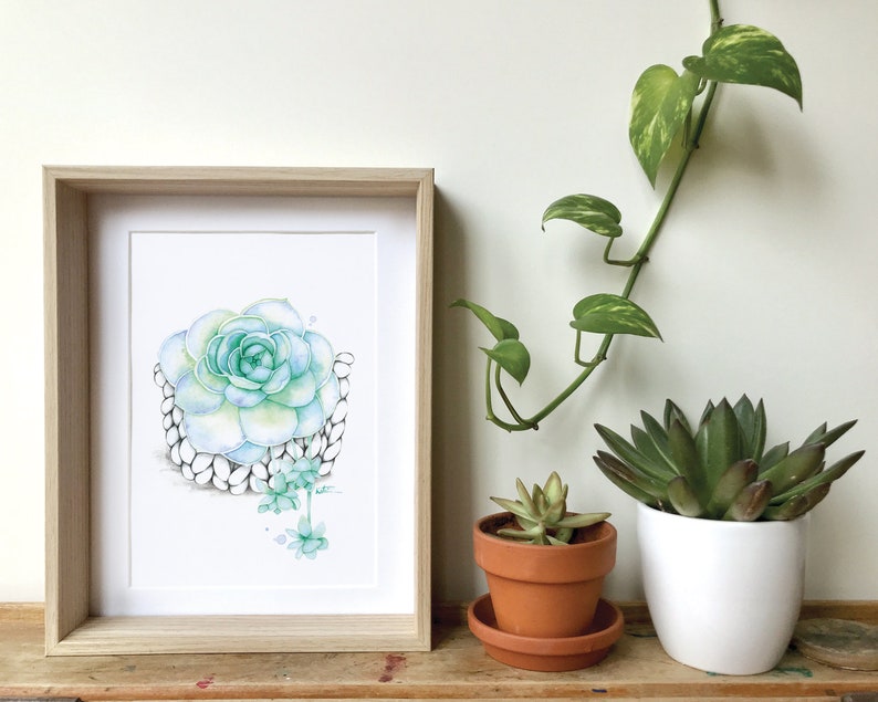 Watercolor illustration succulent plant / Poster Boho macramé plant / Art and Botanical collection / Drawing by Katrinn Pelletier image 3