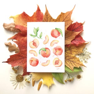 Carte de voeux motif fruité pêches | carte de souhait fruit | fêtes anniversaire | cadeau culinaire | Dessin aquarelle | Katrinn pelletier image 2