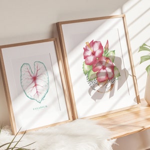 Botanical poster leaves houseplants, illustration gifts for plant lovers, watercolor art, wall decoration, Katrinn Pelletier image 2