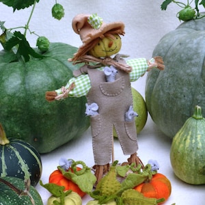 Può includere: Uno spaventapasseri di feltro con una camicia a quadri verde e bianca e pantaloni marroni si trova di fronte a una zucca verde. Lo spaventapasseri indossa un cappello marrone con un fiore giallo e tiene un piccolo topo marrone in ogni mano. Ci sono diverse piccole zucche verdi e arancioni intorno allo spaventapasseri.