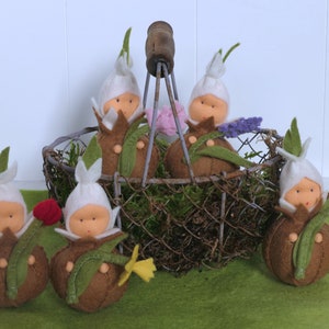 Op de afbeelding: Zes vilten bloemknoppoppen in een draadmand. De poppen zijn wit met bruine vilten stelen en groene vilten bladeren. De poppen zijn in een cirkel rond de mand gerangschikt. De mand is gevuld met mos en takjes.