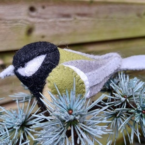 Op de afbeelding: Een viltvogel met zwarte, witte en groene accenten, die op een blauwgroene dennentak zit.