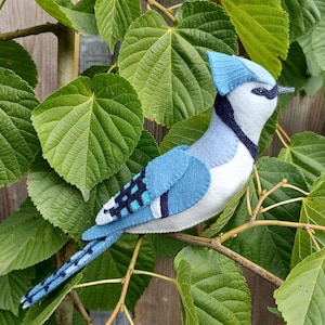 Könnte beinhalten: Ein blauer Jay-Vogel aus Filz, mit einer weißen Brust und schwarzen Markierungen an den Flügeln. Der Vogel sitzt auf einem Ast mit grünen Blättern.
