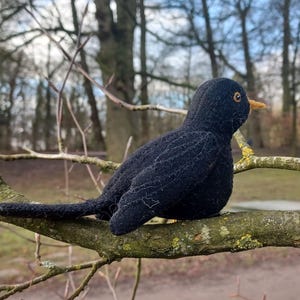Peut inclure: Un oiseau en feutre noir avec un bec jaune perché sur une branche. L'oiseau est tourné vers la droite et a une apparence texturée et détaillée.