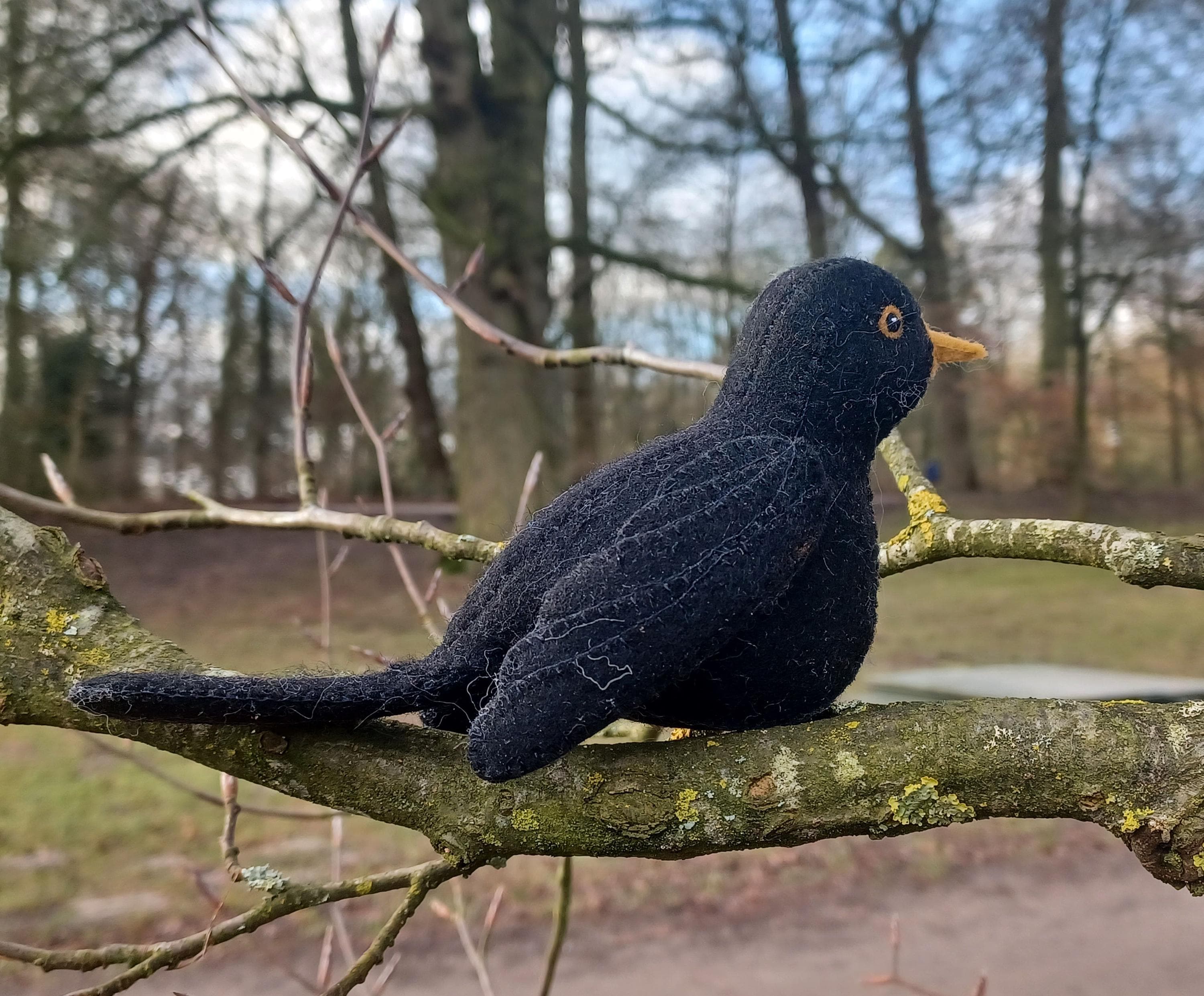 Blackbird Decoration - Etsy Canada