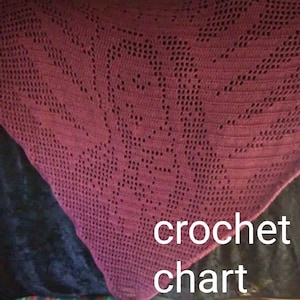 Our Lady Guadalupe Crochet Shawl Chart