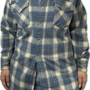 Pode incluir: Uma camisa de flanela xadrez azul e branca com mangas compridas e fecho de botões.