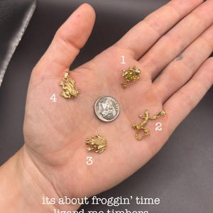 May include: Four gold-toned metal charms shaped like small amphibians and a lizard, labeled with numbers one through four, arranged around a silver-colored United States dime for scale. The text reads: its about froggin’ time lizard me timbers.