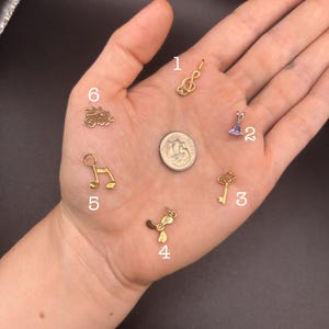 May include: A collection of small gold-colored charms, including a treble clef, a purple gem, a key, a propeller, a musical note, and a dragon. The charms are displayed on a hand, with a quarter coin in the center.