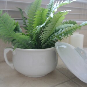 May include: A white ceramic pot with a lid, filled with a green leafy plant. The pot has a handle on the side and the lid has a knob on top.