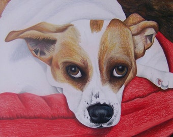 ビーグル オリジナル色鉛筆画 - 犬のアート - ポートレートサイズ