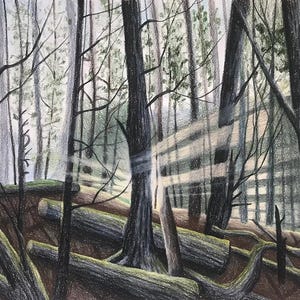 Sunburst-Original Drawing