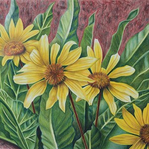 May include: A close-up of a drawing of yellow sunflowers with green leaves against a red background.