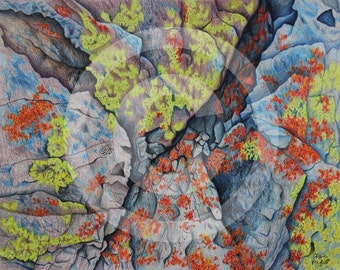 Lichens-Inkjet Print