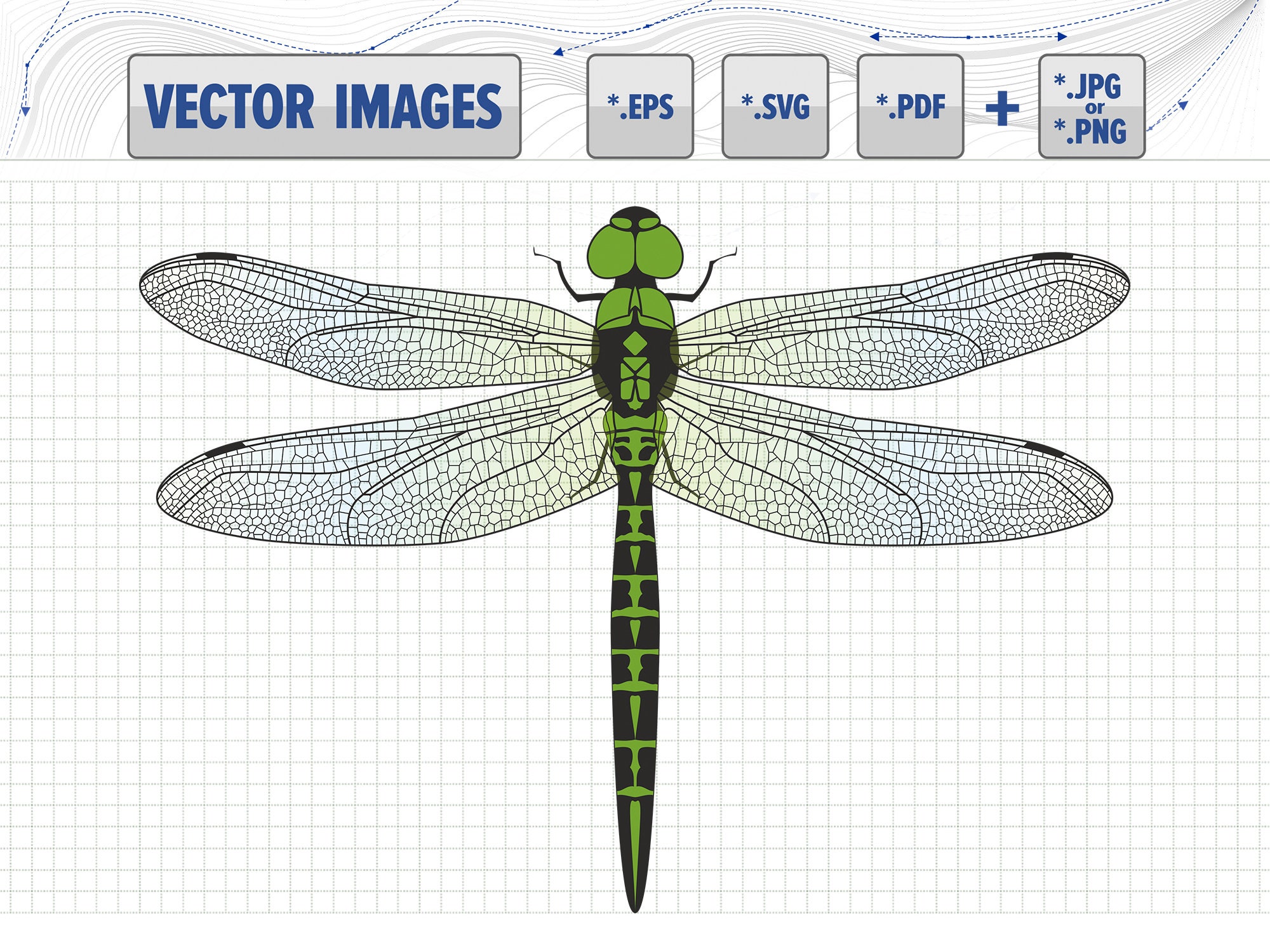 Dragonfly With Transparent Wings Vector Graphic Clipart Svg Etsy