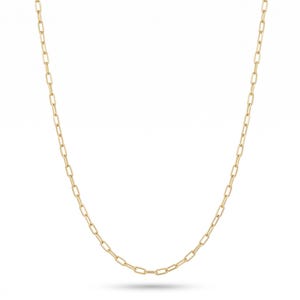 Op de afbeelding: Een goudkleurige ketting met een delicaat, langwerpig schakelontwerp. De ketting hangt tegen een witte achtergrond en toont zijn eenvoudige maar elegante stijl. Geschikt voor dagelijks gebruik of speciale gelegenheden.