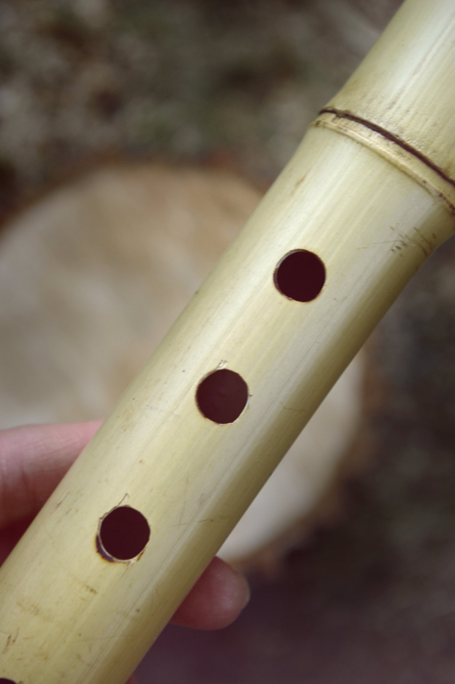 Peruvian Flute Quena Bamboo Flute Etsy