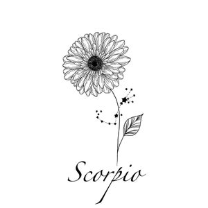 Scorpio Constellation Tattoo| Gerbera Flower Tattoo Design