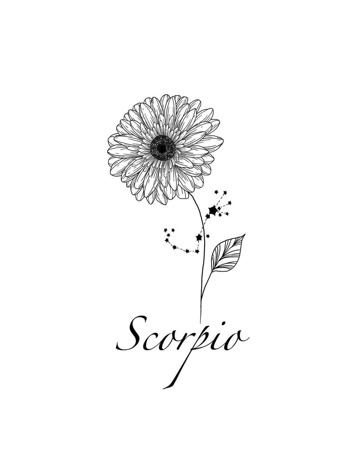 Scorpio Constellation Tattoo Gerbera Flower Tattoo Design | Etsy