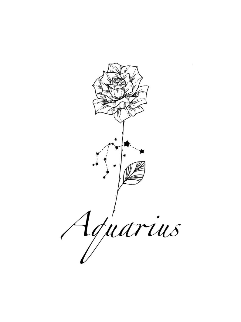 Aquarius Constellation Tattoo Rose Flower Tattoo Design - Etsy