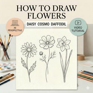 Cómo dibujar flores en tiempo real: Margaritas, Cosmos y Narcisos.