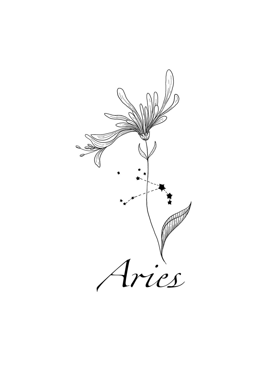 Aries Constellation Tattoo Honeysuckle Flower Tattoo Design - Etsy