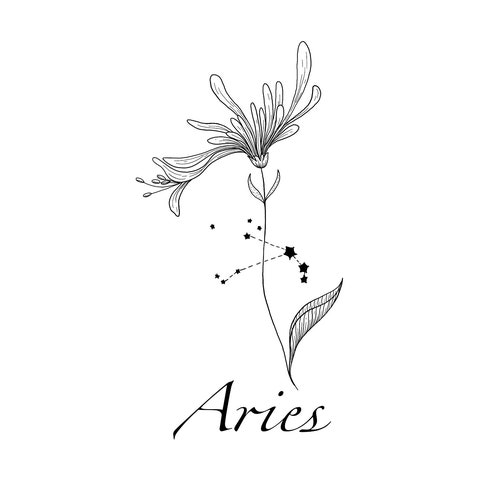 Taurus Constellation Tattoo Flower Tattoo Design - Etsy