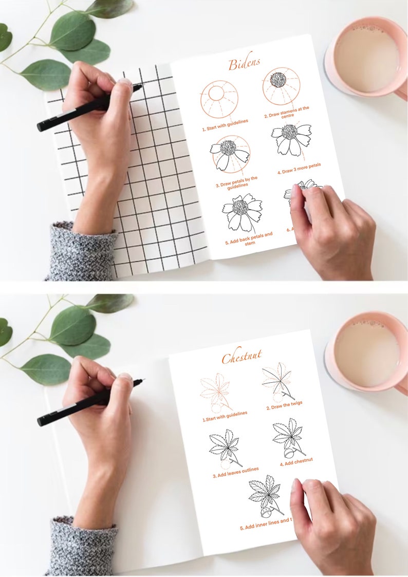 How to Draw Fall Flowers and Leaves, Printable Worksheets, Flowers for ...
