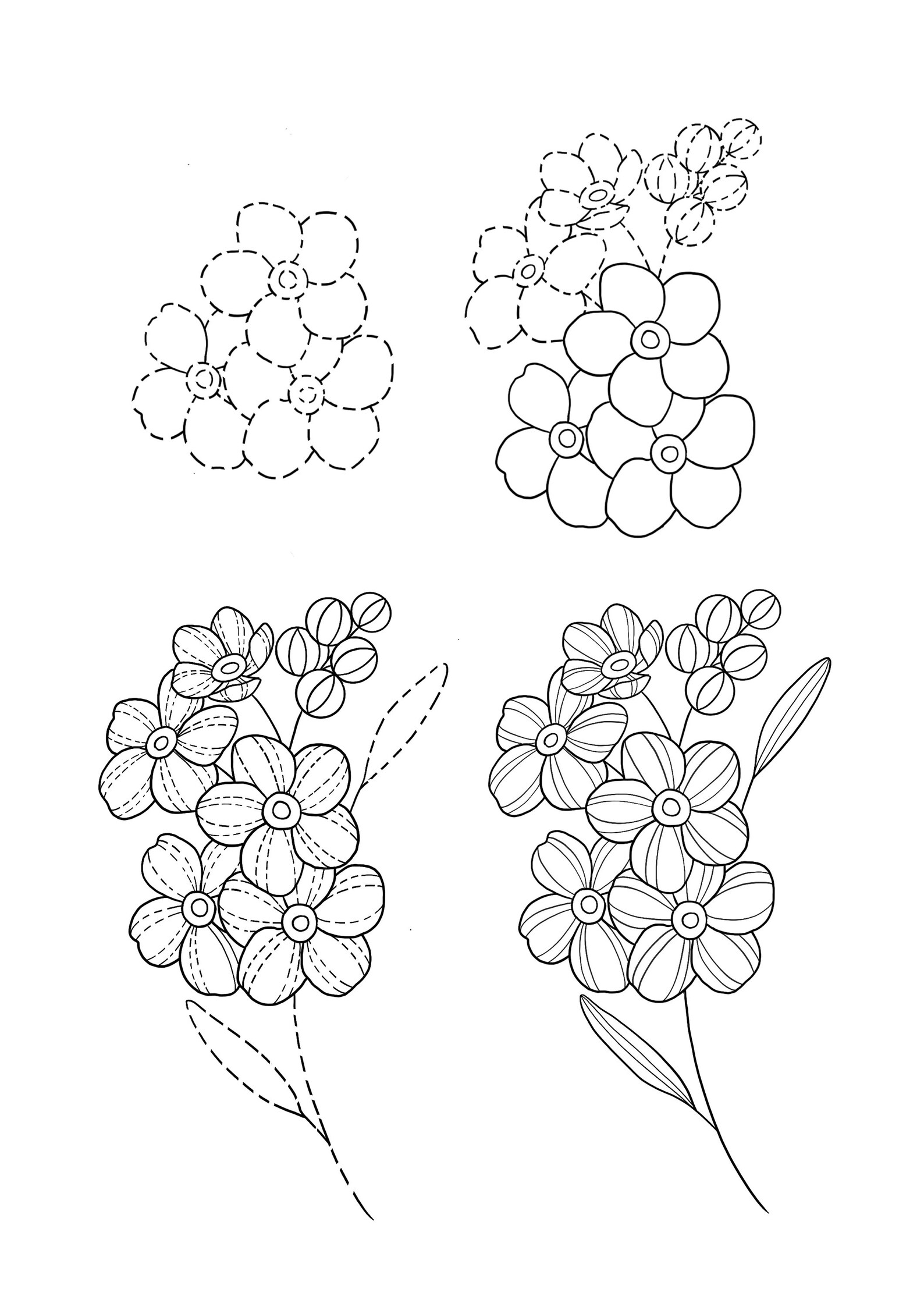 How to Draw Wildflowers Printable Worksheets Flowers for Etsy Ireland