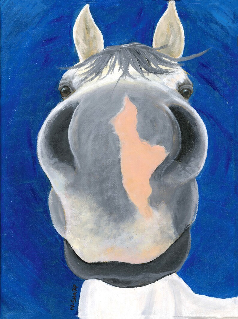 Donkey Ravello Kissable, Cute Horse/donkey Set of 4 Assorted Nose Blank Notecards With ...