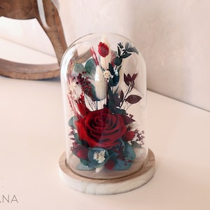 TANGO Eternal red rose under a glass bell eco-responsible trendy gift for Christmas and Valentine&#39;s Day or for traditional Christmas decor