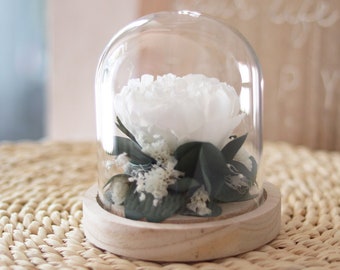 Pivoine blanche éternelle sous cloche en verre JARDIN JAPONAIS, arrangement fleur stabilisée cadeau éco-responsable décoration d'intérieur