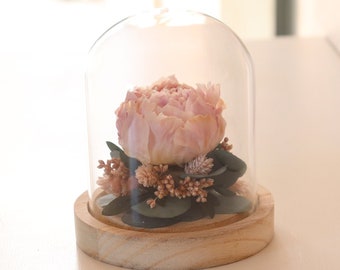 Pale pink eternal peony under glass bell JARDIN D'EDEN, dried flower arrangement original eco-responsible gift home decoration