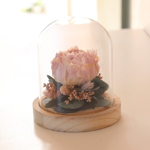 Peut inclure: Une seule pivoine rose conservée dans un dôme en verre avec une base en bois. La fleur est entourée de verdure et de petites fleurs séchées.
