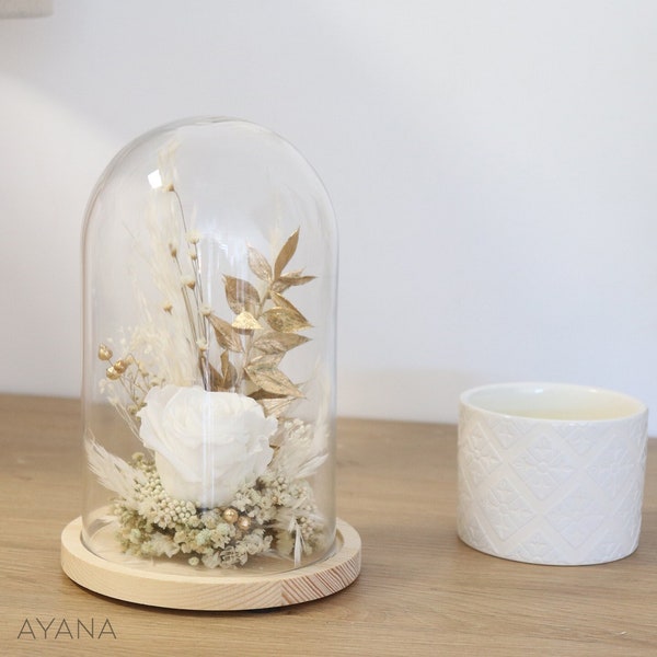 Preserved white rose bell JARDIN DE LUNE, eco responsible gift trendy home decoration, eternal rose under glass bell