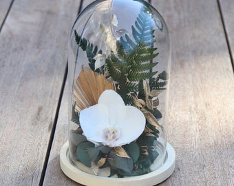 Cloche fleur éternelle TROPICAL CHIC orchidée blanche et verdure décoration style exotique, cadeau éco-responsable pour la maison