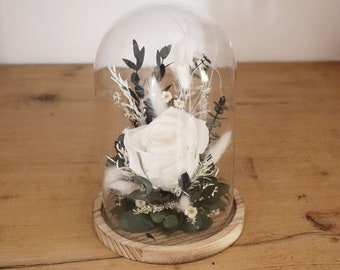 Cloche décoration en fleur séchée et stabilisée DOUCEUR CHAMPÊTRE, cadeau rose éternelle blanche et eucalyptus sous cloche en verre