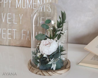 Dried flower composition bell INTEMPORELLE BEAUTE, pale pink peony under a glass bell original gift eternal flower bell