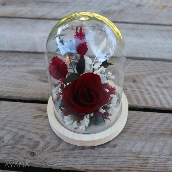 Kleine RHAPSODIE EN RED-Glocke, Geschenk für sie, rote Rose unter Glasglocke, ewiges Rosengeschenk, umweltbewusste Heimdekoration