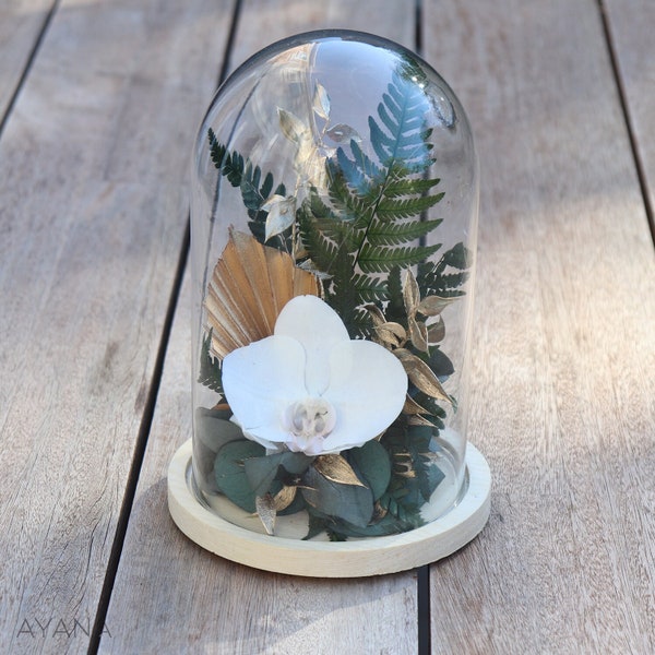 Cloche fleur éternelle TROPICAL CHIC orchidée blanche et verdure décoration style exotique, cadeau éco-responsable pour la maison