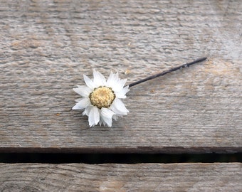 Pic RODANTHE séché, fleur naturelle pour coiffure de mariée, accessoire à cheveux mariage champêtre, barette à cheveux demoiselle d'honneur